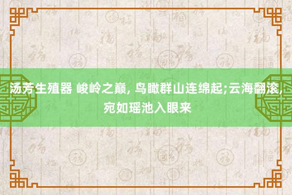 汤芳生殖器 峻岭之巅, 鸟瞰群山连绵起;云海翻滚, 宛如瑶池