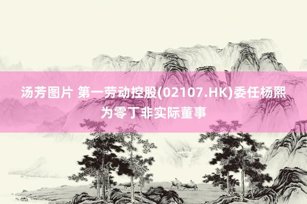 汤芳图片 第一劳动控股(02107.HK)委任杨熙为零丁非实际董事
