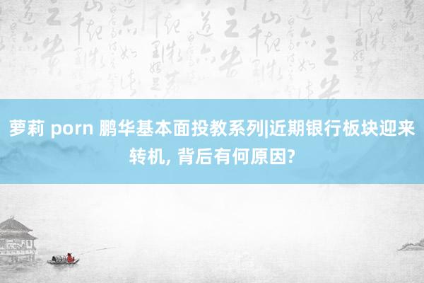 萝莉 porn 鹏华基本面投教系列|近期银行板块迎来转机， 背后有何原因?