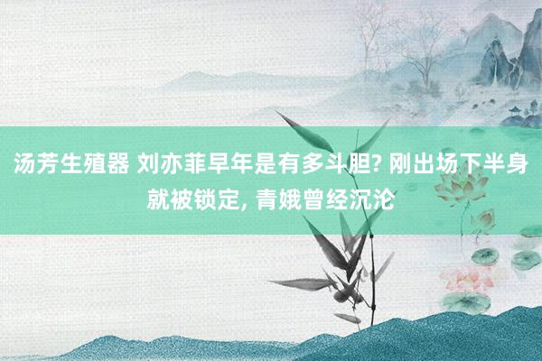 汤芳生殖器 刘亦菲早年是有多斗胆? 刚出场下半身就被锁定, 