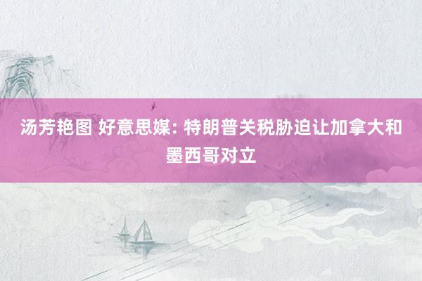 汤芳艳图 好意思媒: 特朗普关税胁迫让加拿大和墨西哥对立