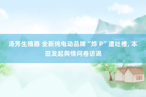 汤芳生殖器 全新纯电动品牌“烨 P”遭吐槽, 本田发起舆情问