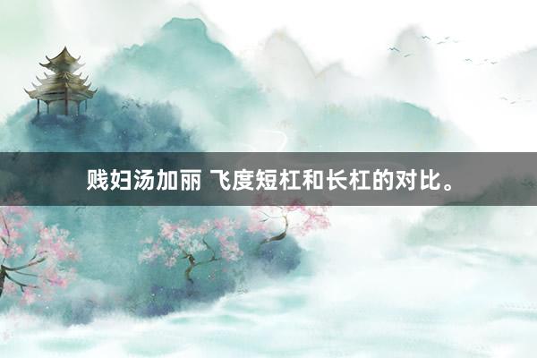贱妇汤加丽 飞度短杠和长杠的对比。