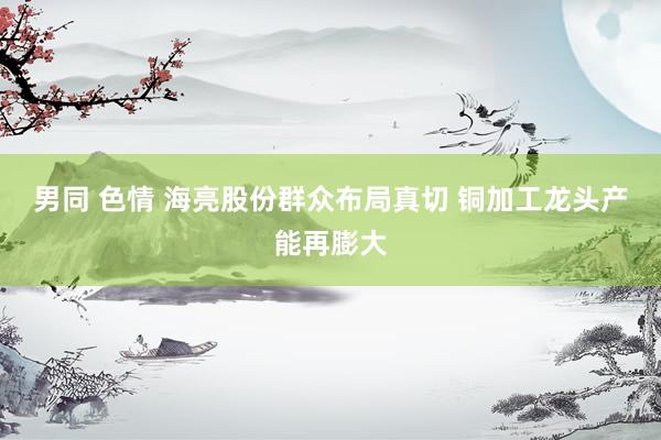 男同 色情 海亮股份群众布局真切 铜加工龙头产能再膨大