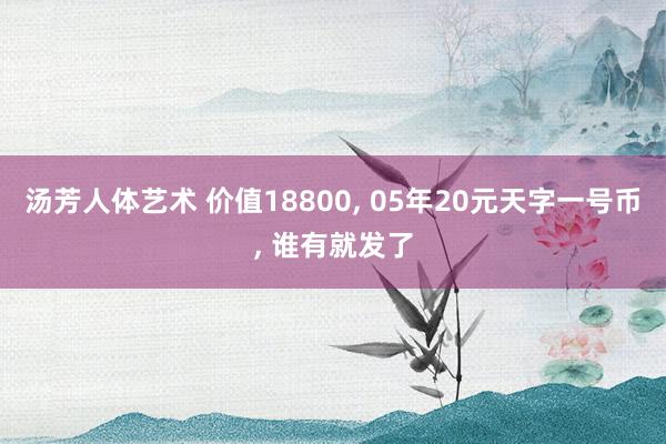 汤芳人体艺术 价值18800, 05年20元天字一号币, 谁